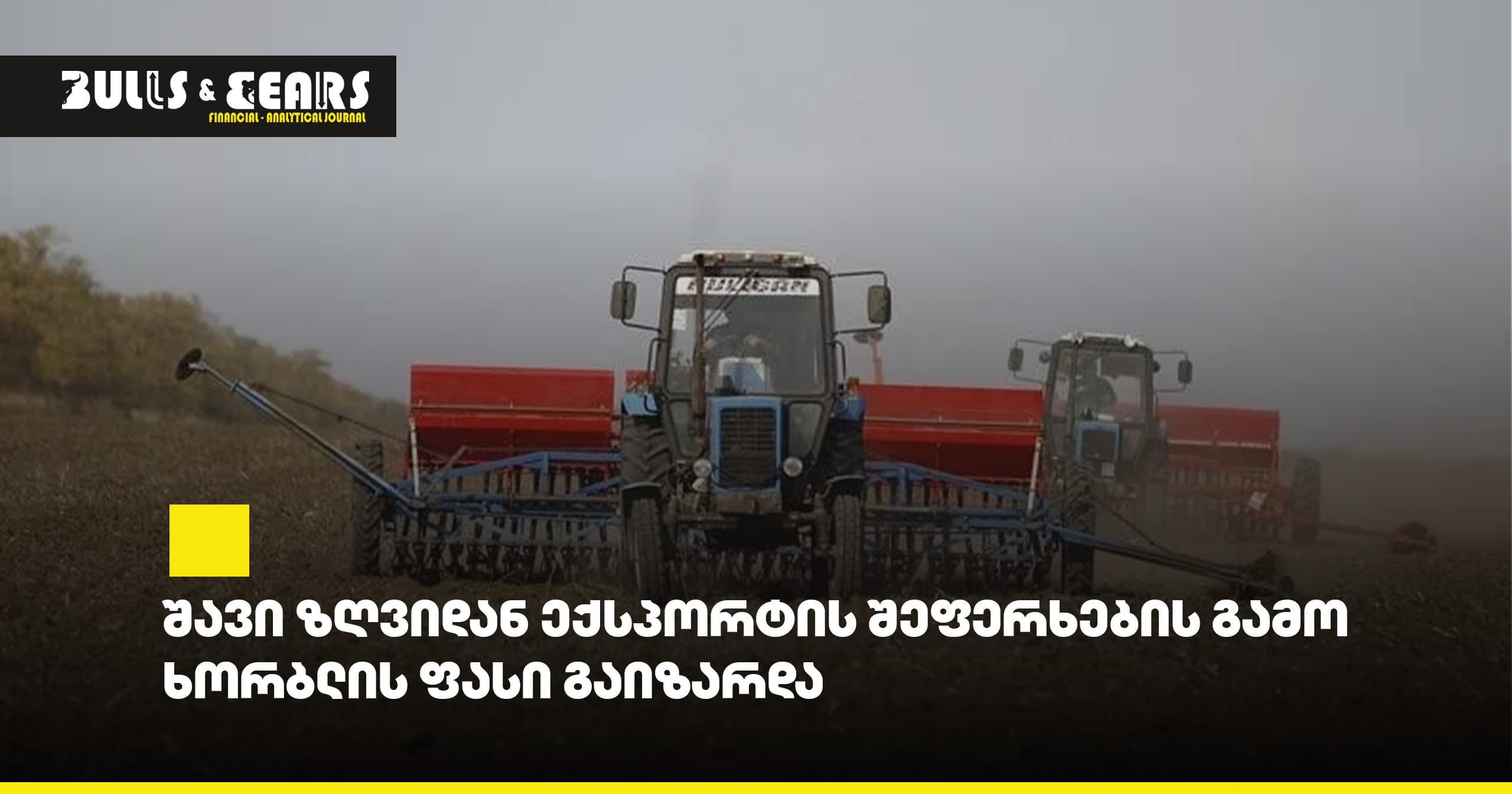 Wheat Prices Rise Due to Export Delays from the Black Sea